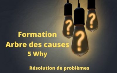 Formation Arbre des causes : 5 Pourquoi (5 Why)