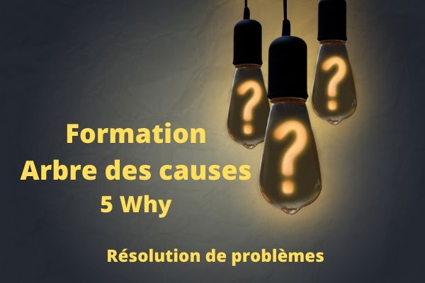 Formation 5 pourquoi (5 why) arbre des causes