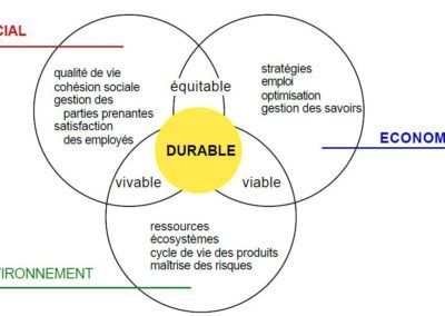 Management par la valeur et développement durable: un apport pour les collectivités locales, par C. Laval