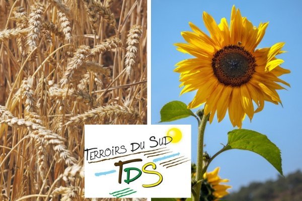 Une coopérative agricole utilise TDC Sécurité
