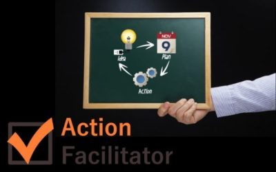 Company Action Plan and Workflow: Action Facilitator