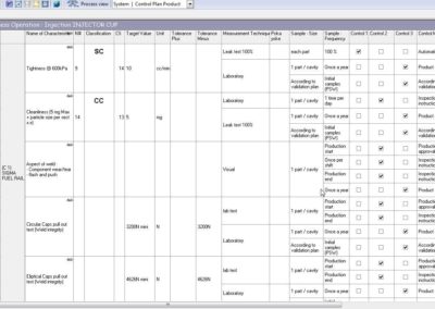 Control Plan in English