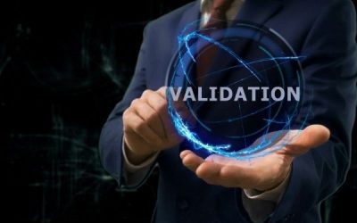 ISO 14971 Software Validation File