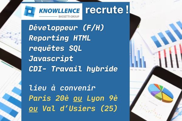 Développeur reporting HTML informaticien Développeur reporting HTML
