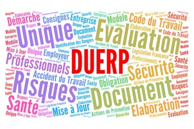 prestations de conseil evrp duer et papripact